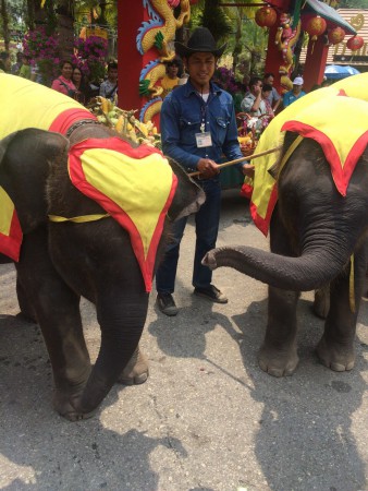 Nong Nooch trópusi kert